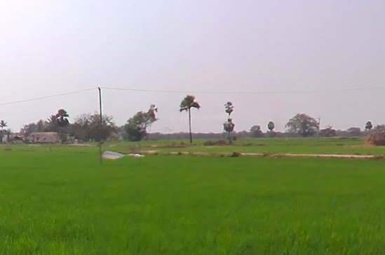 An image of land