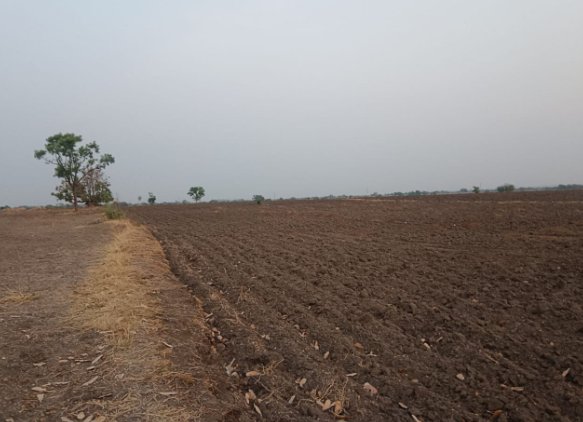 An image of land