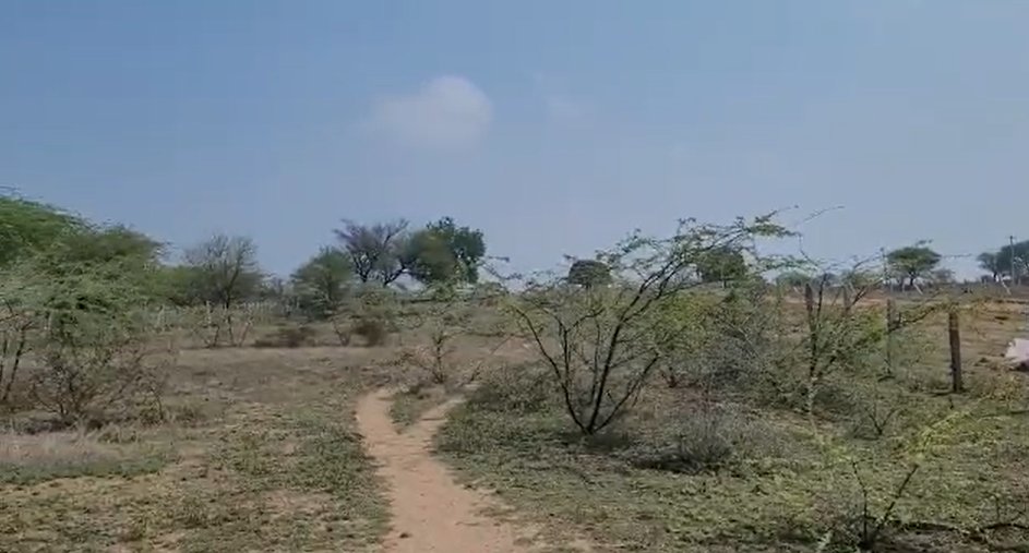 An image of land