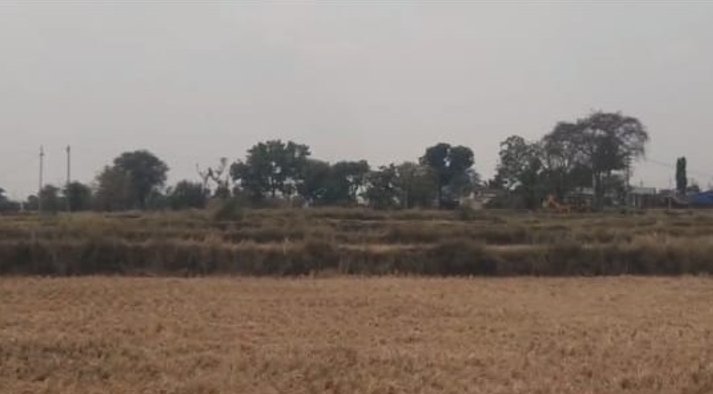 An image of land