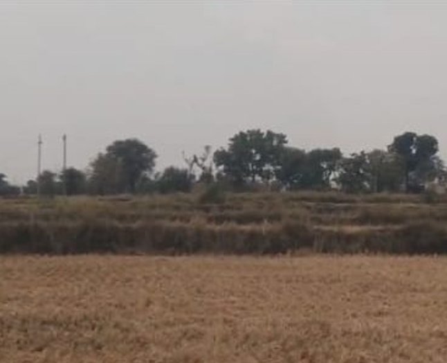 An image of land