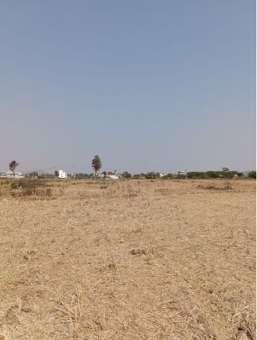 An image of land
