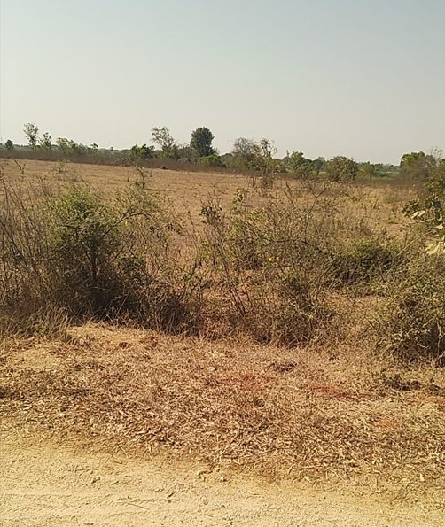 An image of land
