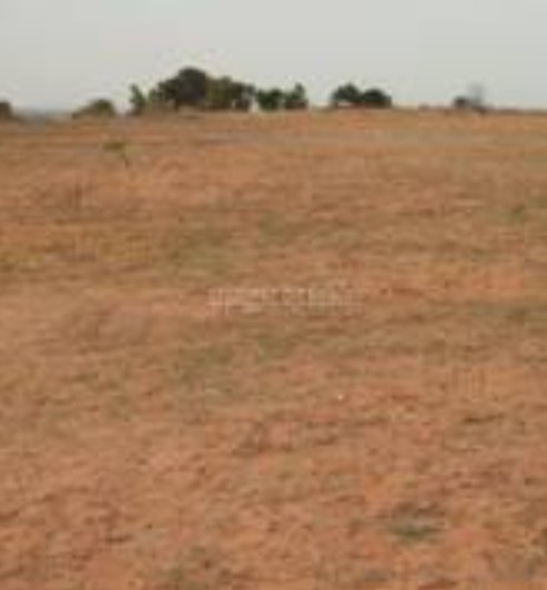 An image of land