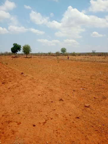 An image of land
