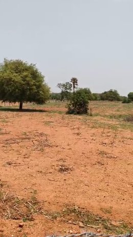 An image of land