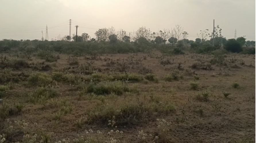 An image of land