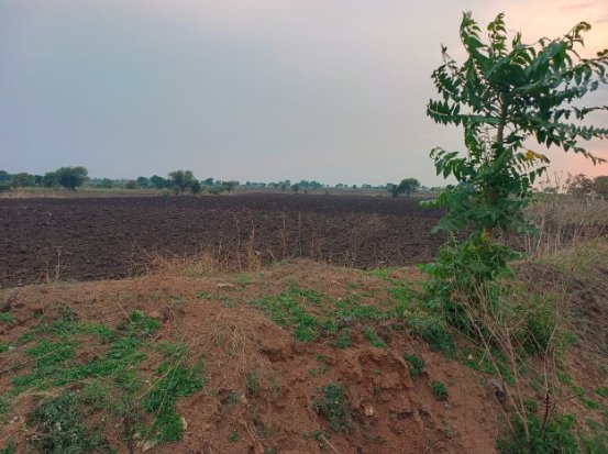 An image of land