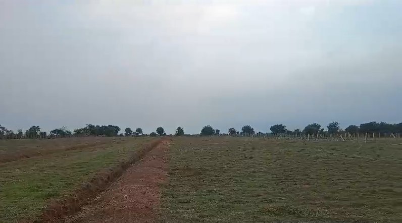 An image of land
