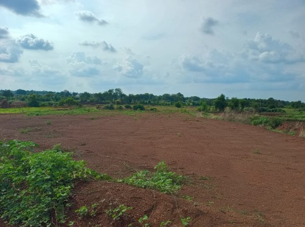An image of land