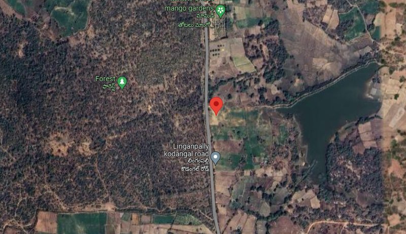 An image of land