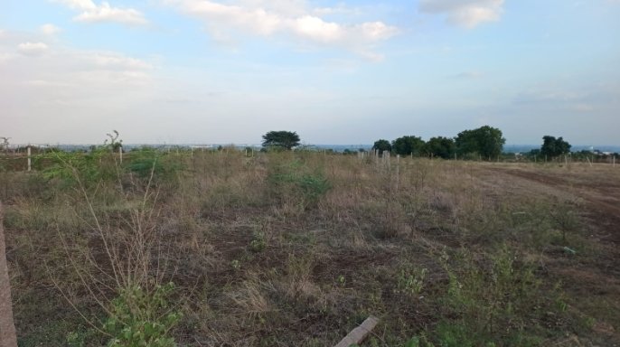 An image of land