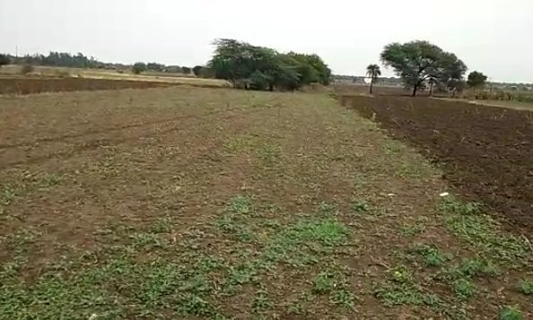 An image of land