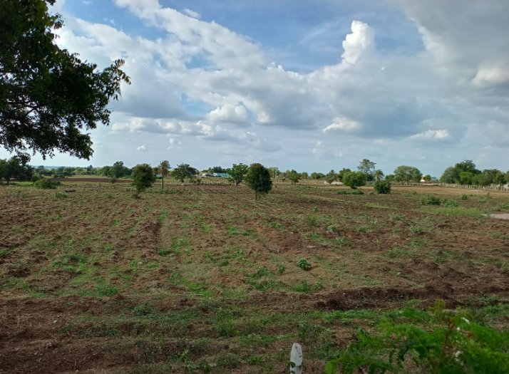 An image of land