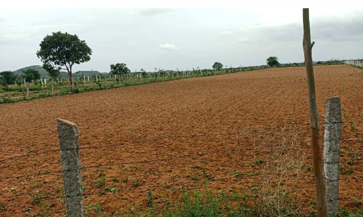 An image of land