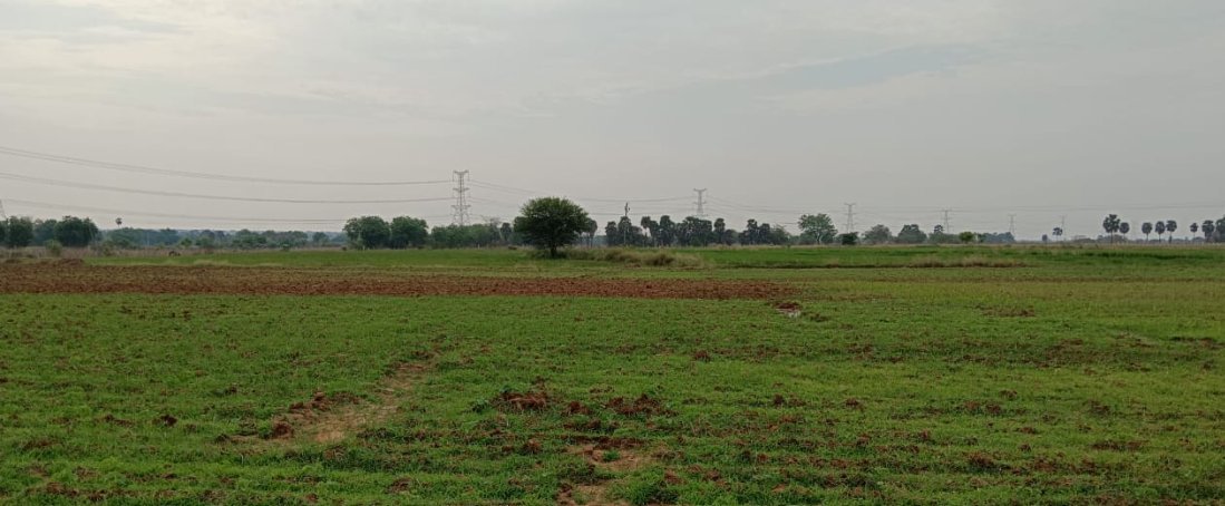 An image of land