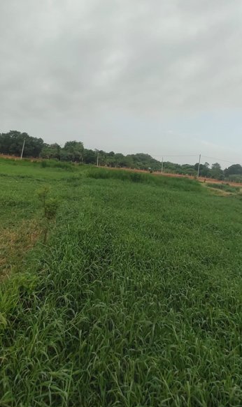 An image of land