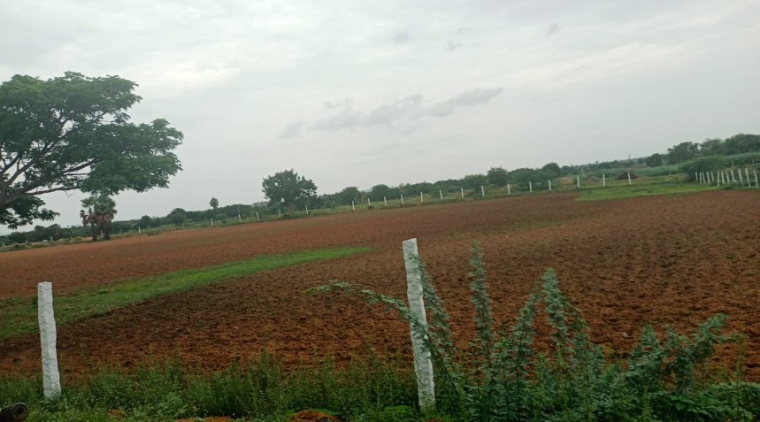 An image of land