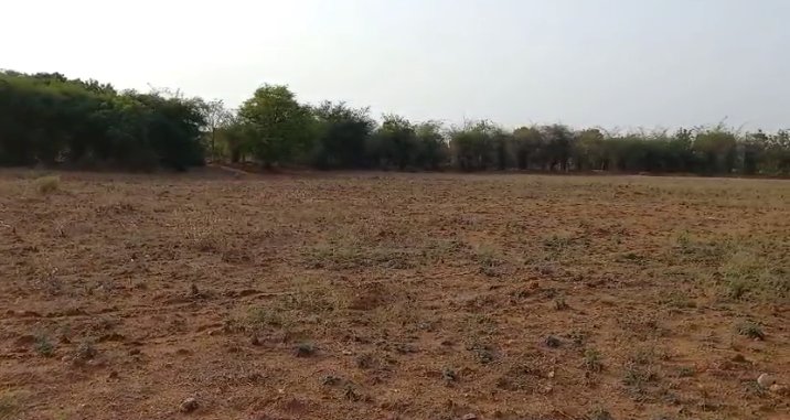 An image of land