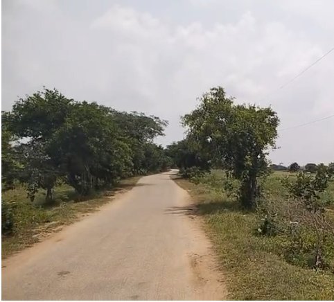 An image of land