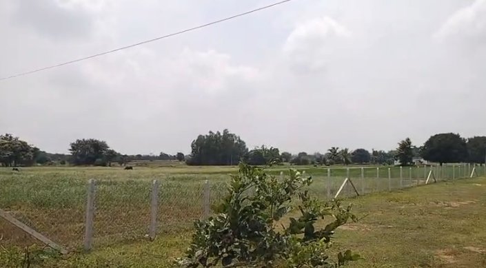 An image of land