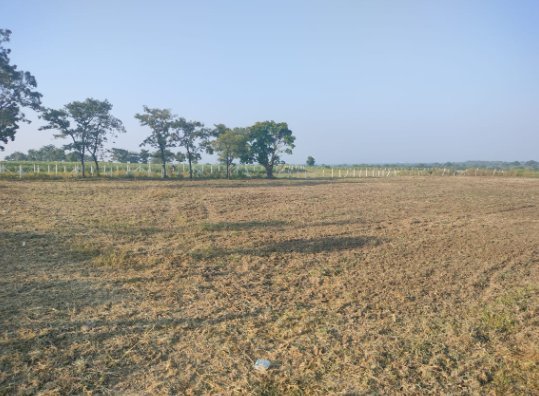 An image of land