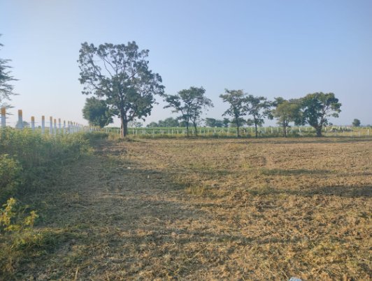 An image of land