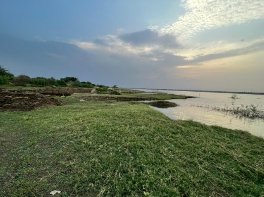 An image of land