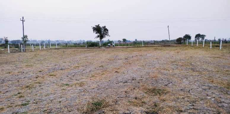 An image of land