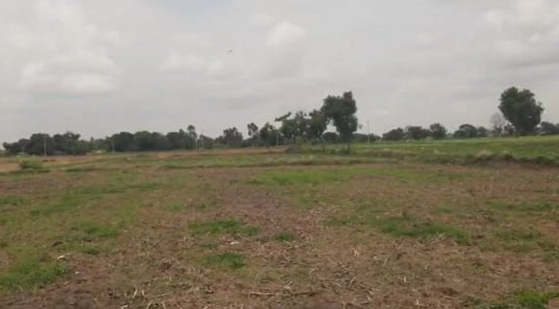 An image of land