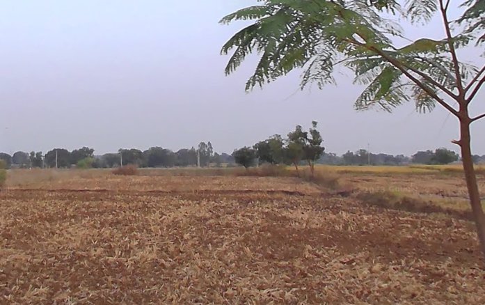 An image of land