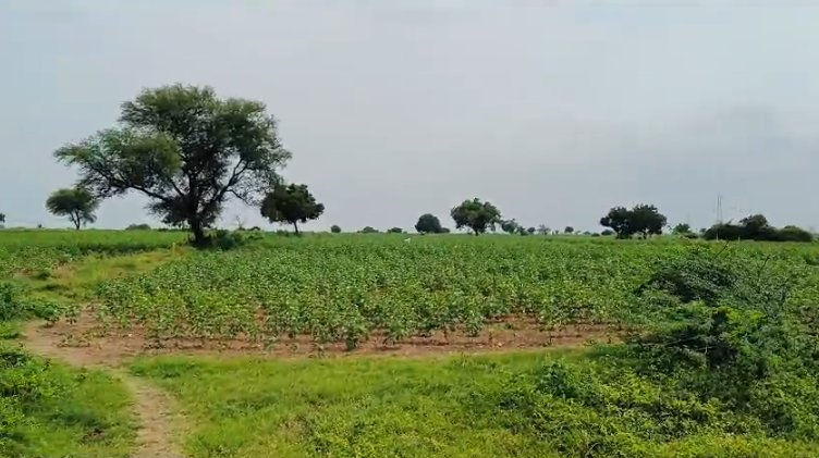 An image of land