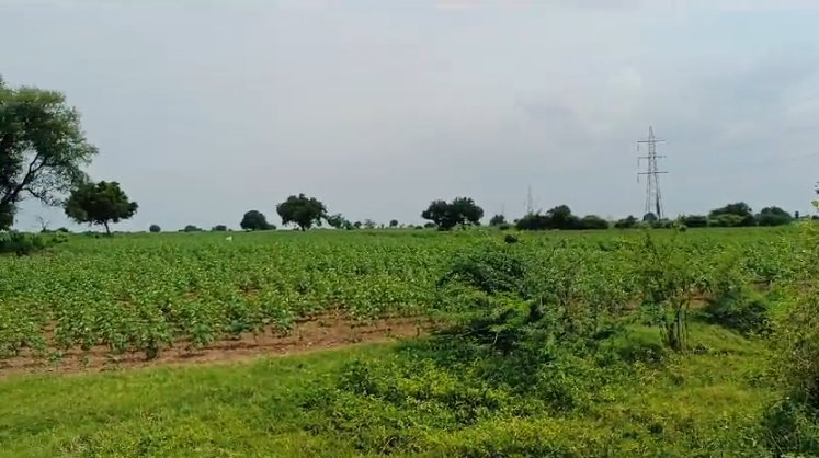 An image of land