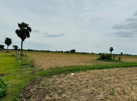 An image of land