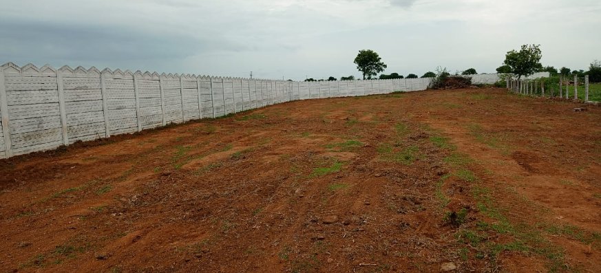 An image of land