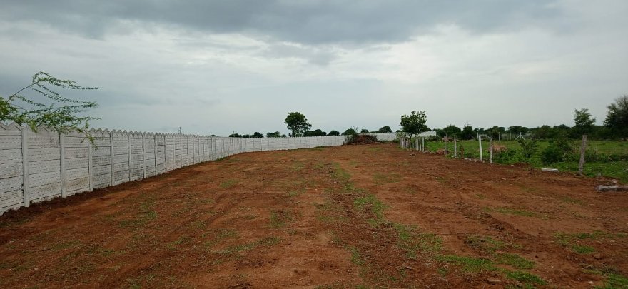An image of land