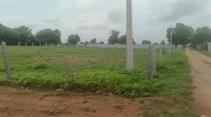 An image of land