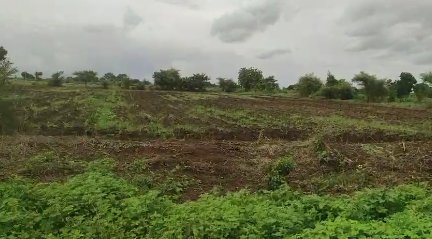 An image of land