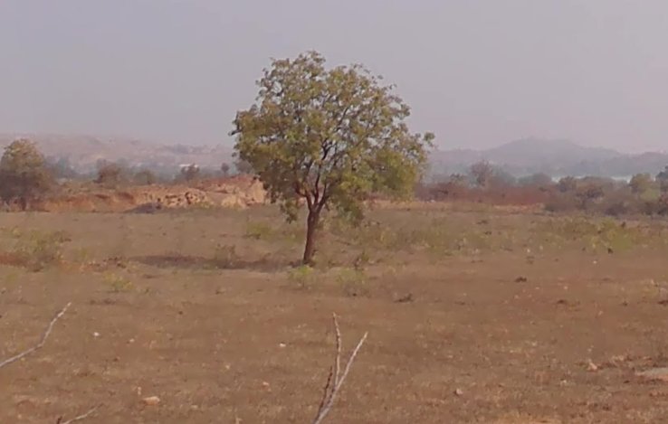 An image of land