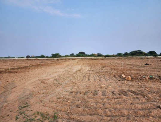An image of land