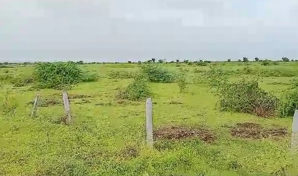An image of land