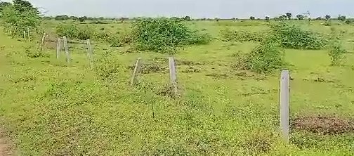 An image of land