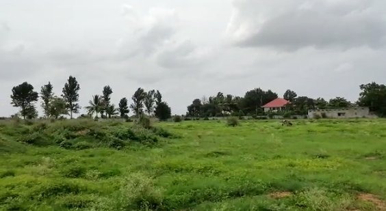 An image of land