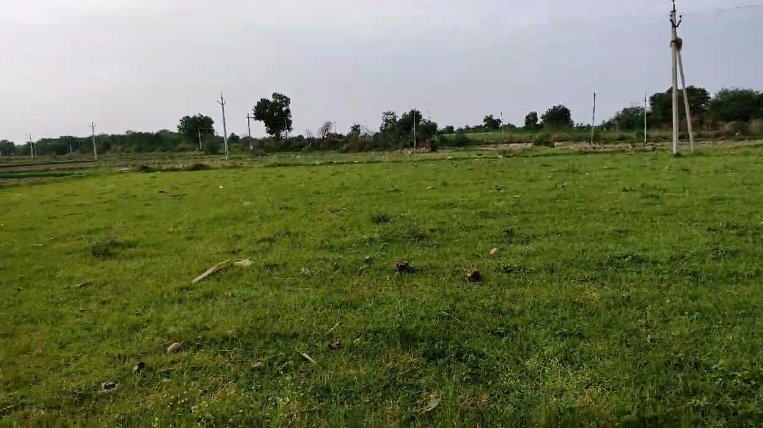 An image of land