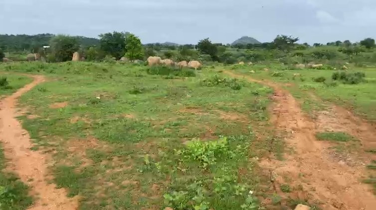 An image of land