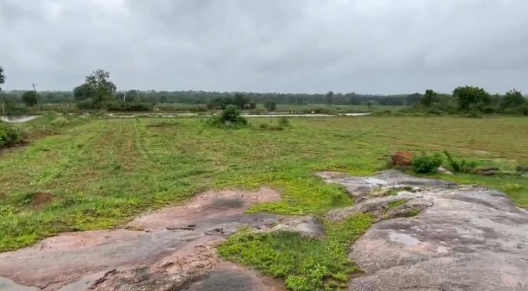 An image of land
