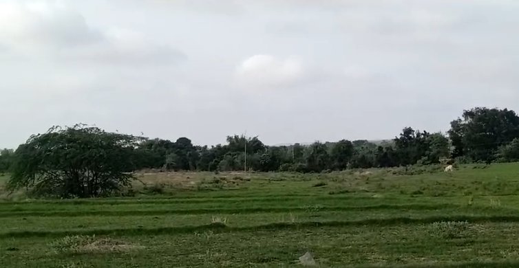 An image of land