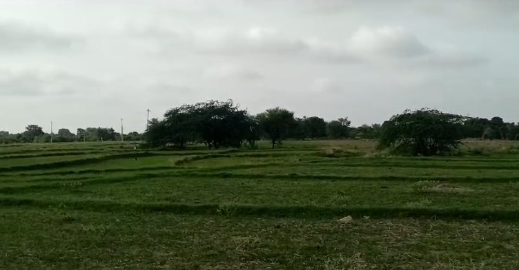 An image of land