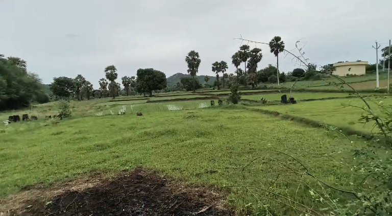 An image of land