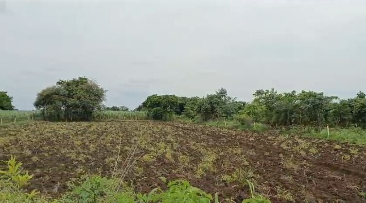 An image of land